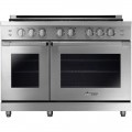 Dacor - Professional 8.0 Cu. Ft. Self-Cleaning Freestanding Double Oven Gas Convection Range with 6 burners, NG - Stainless Steel