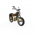 Hover-1 - Altai Pro R750 with 55 miles Max Range and 28 mph Max Speed - Yellow